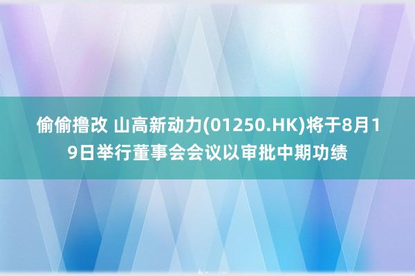 偷偷撸改 山高新动力(01250.HK)将于8月19日举行董事会会议以审批中期功绩