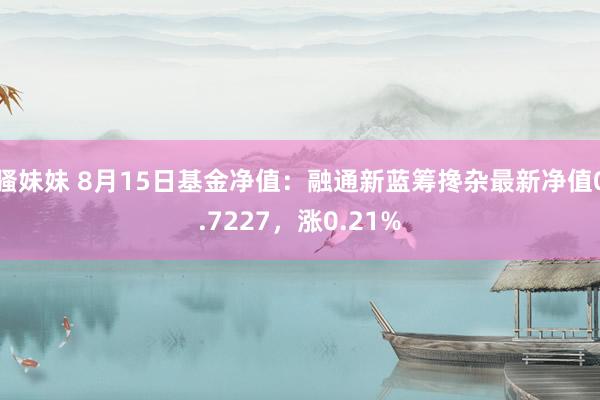 骚妹妹 8月15日基金净值：融通新蓝筹搀杂最新净值0.7227，涨0.21%