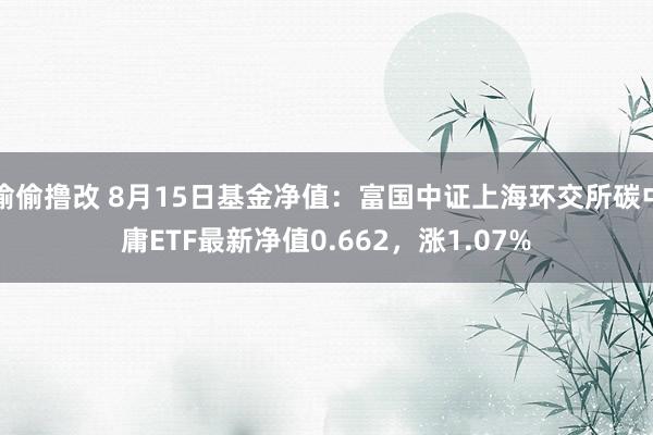 偷偷撸改 8月15日基金净值：富国中证上海环交所碳中庸ETF最新净值0.662，涨1.07%